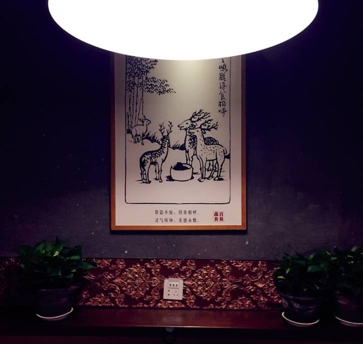 素食星球