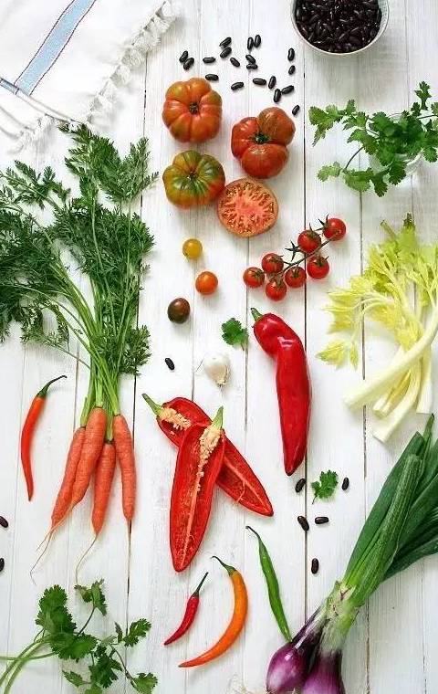 素食星球