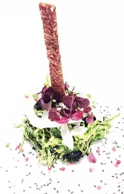 素食星球