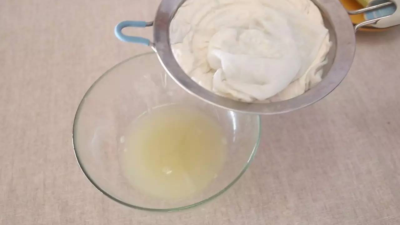 素食星球